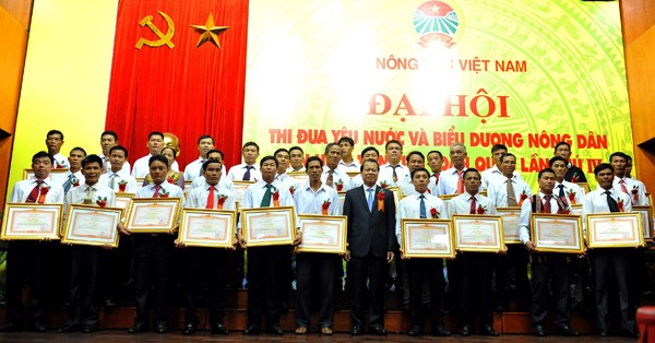 Во Вьетнаме названы лучшие крестьяне страны - ảnh 1